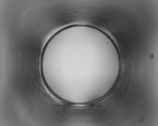 X0000115721343200912031542