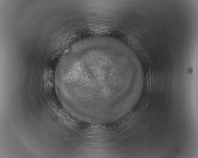 X0000115721346200912031541