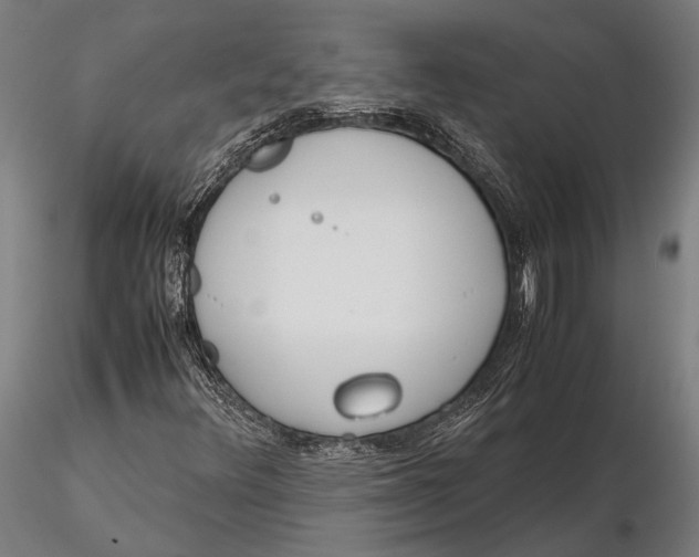 X0000115721348200912031541