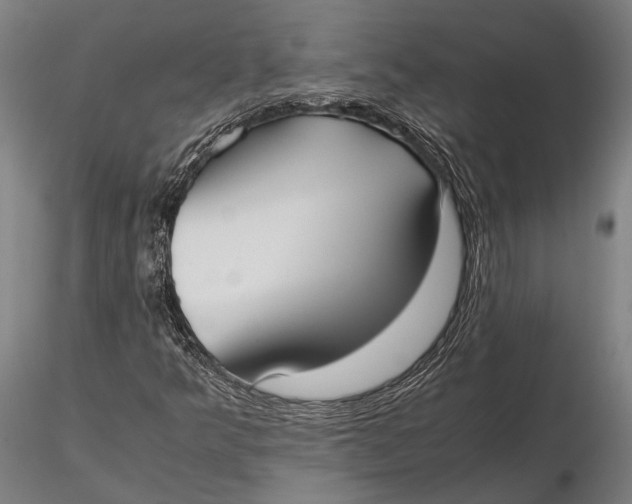 X0000115721349200912031541