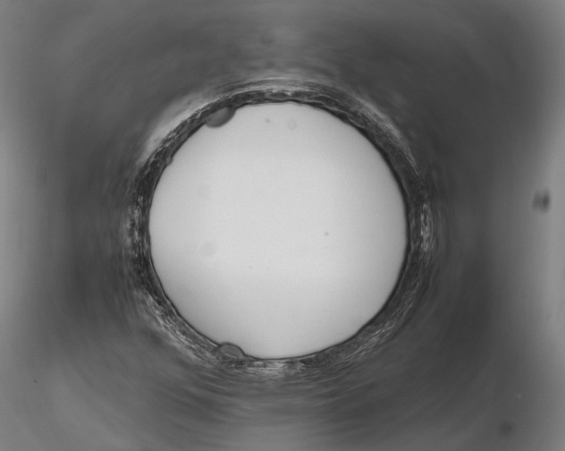 X0000115721352200912031541