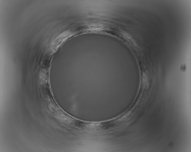 X0000115721353200912031541