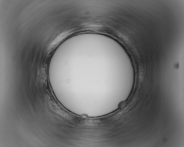 X0000115721354200912031541
