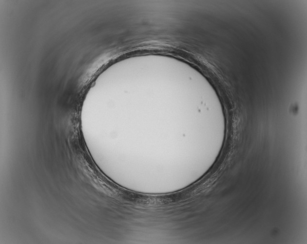X0000115721355200912031541