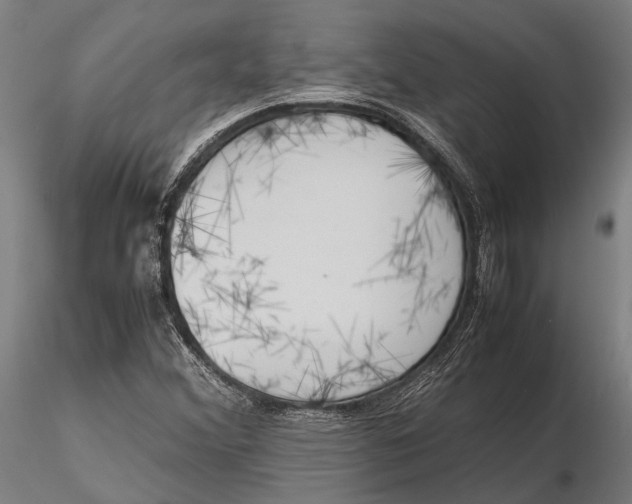 X0000115721356200912031541