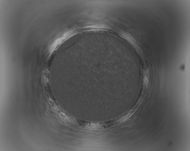 X0000115721357200912031541