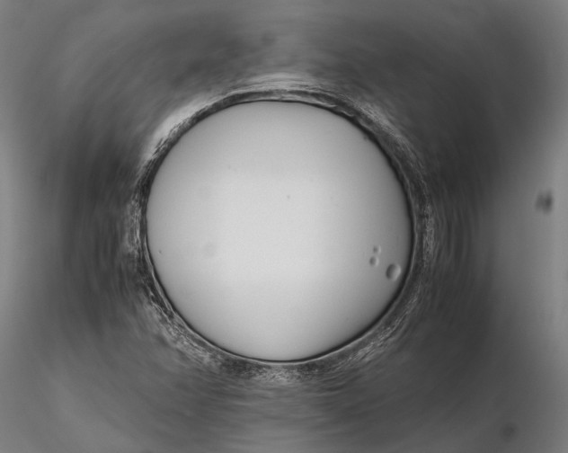 X0000115721358200912031541