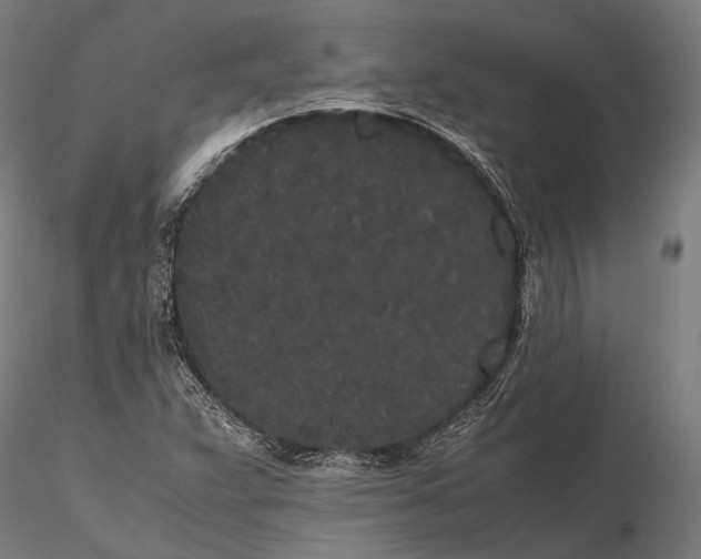 X0000115721359200912031541