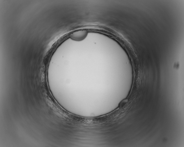 X0000115721360200912031541