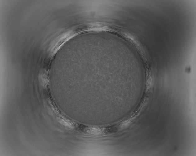 X0000115721361200912031541