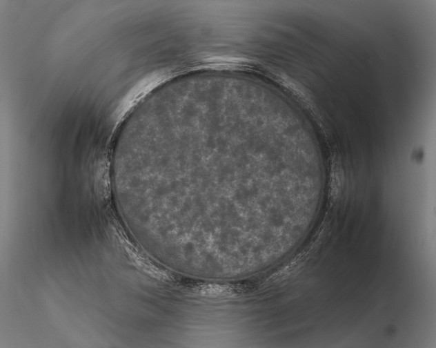 X0000115721362200912031541