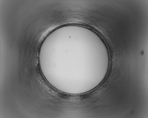 X0000115721363200912031541