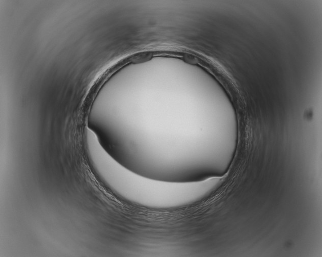X0000115721364200912031541