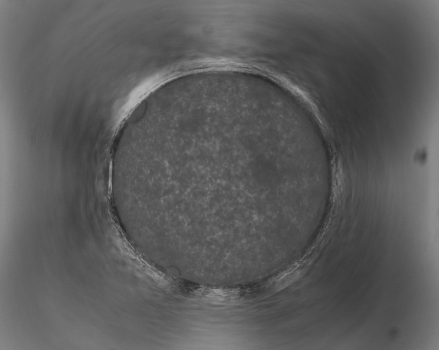 X0000115721365200912031541