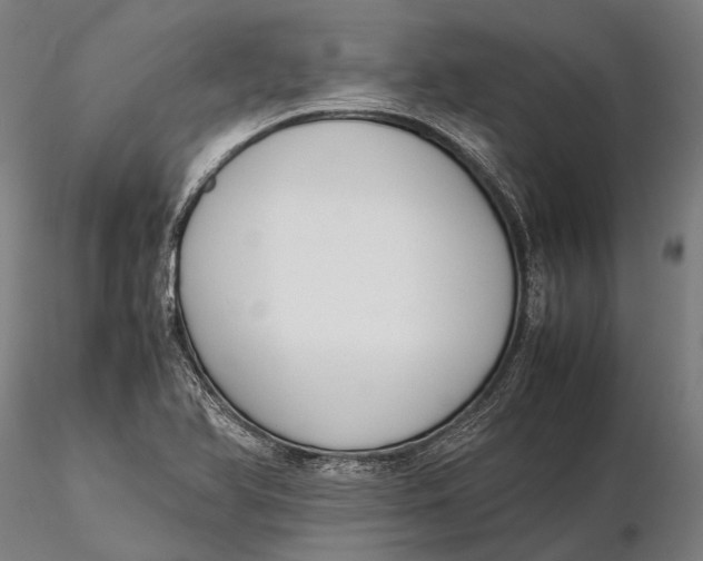 X0000115721366200912031541