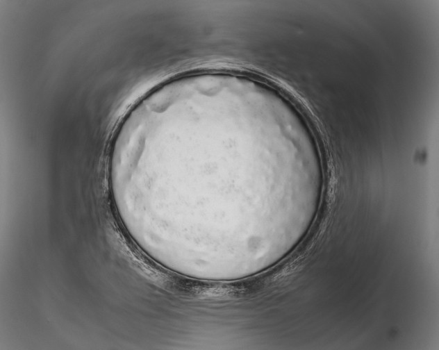 X0000115721367200912031541