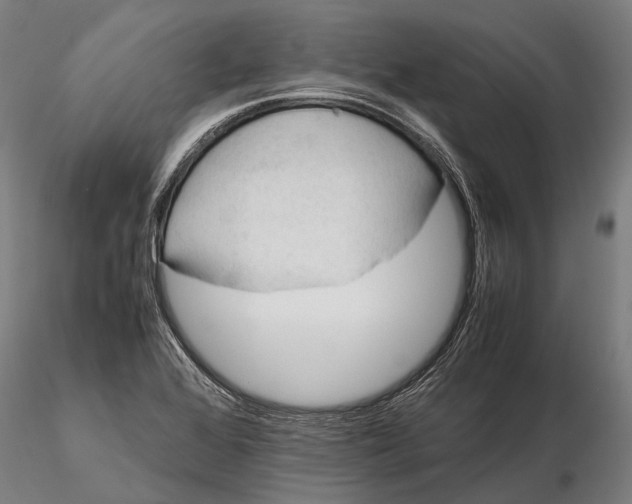 X0000115721368200912031541