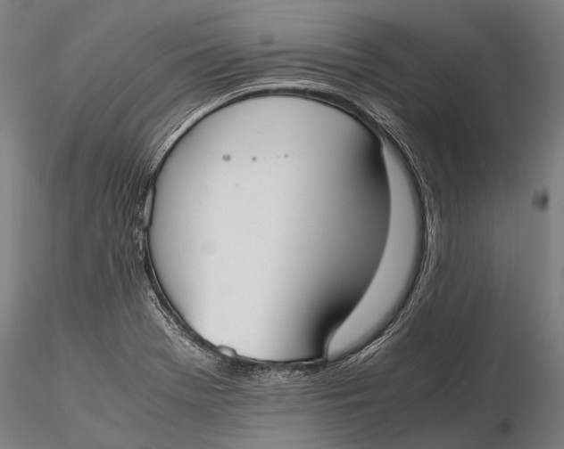 X0000115721369200912031541
