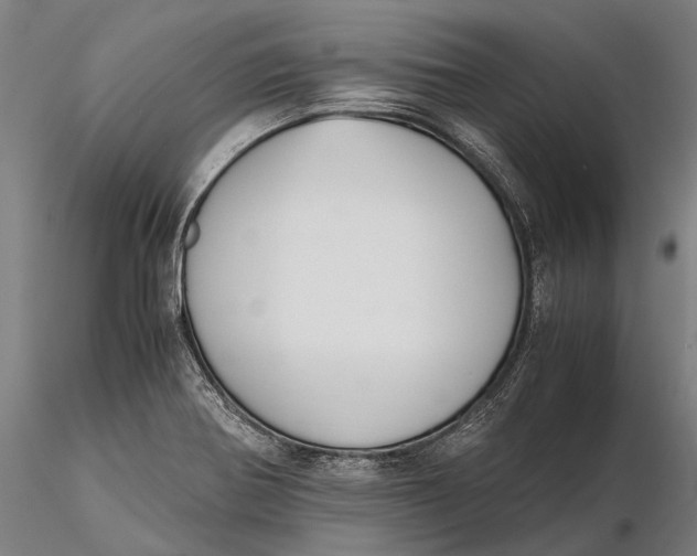 X0000115721370200912031541