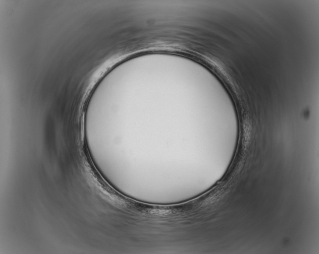 X0000115721371200912031541