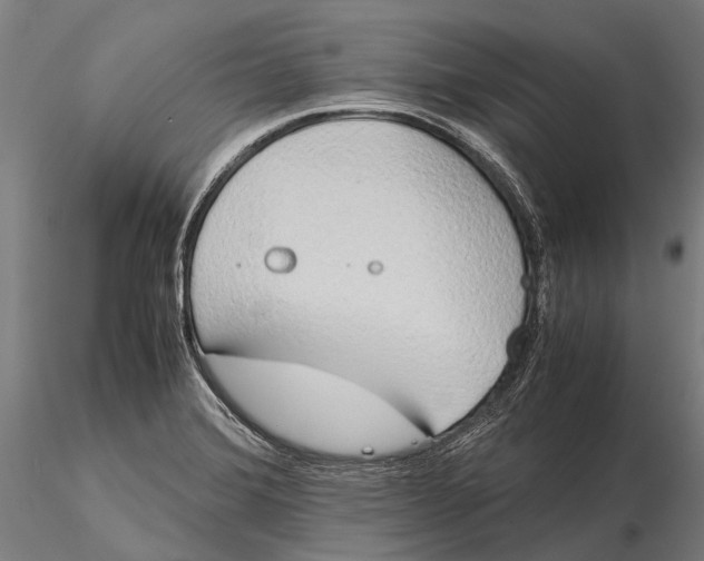 X0000115721372200912031541