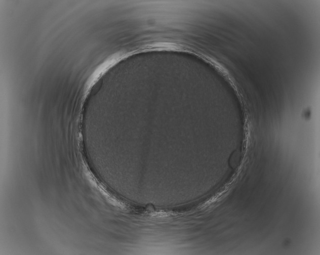 X0000115721373200912031541