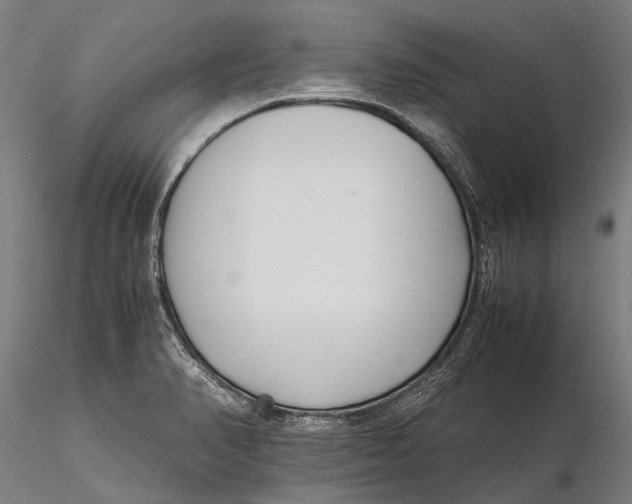 X0000115721374200912031541