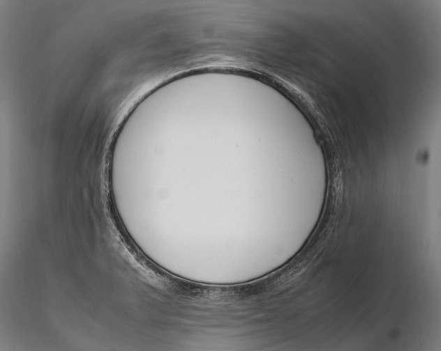 X0000115721375200912031541