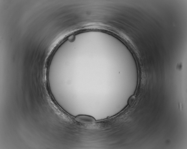 X0000115721376200912031541