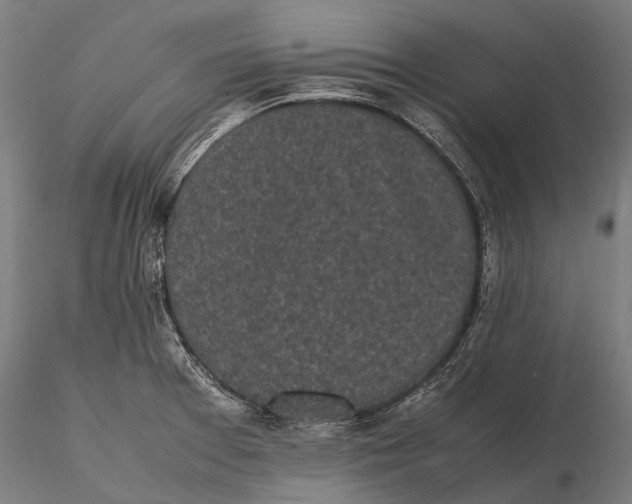 X0000115721377200912031541