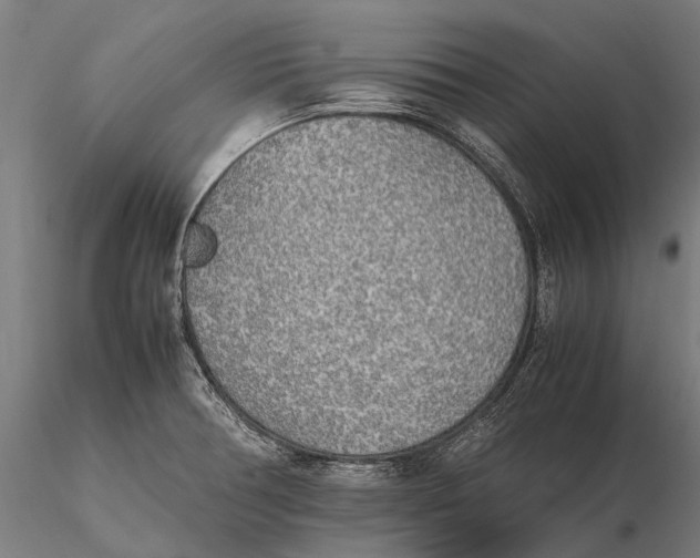 X0000115721378200912031541