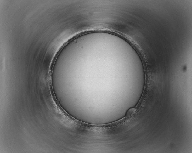 X0000115721380200912031541