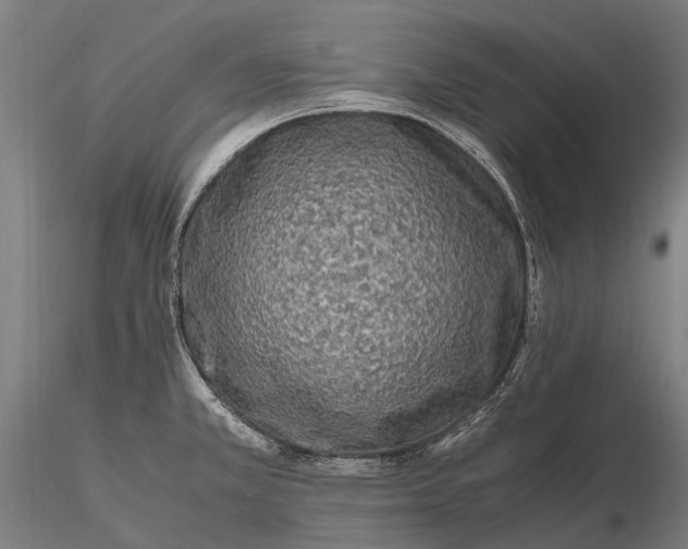 X0000115721381200912031541