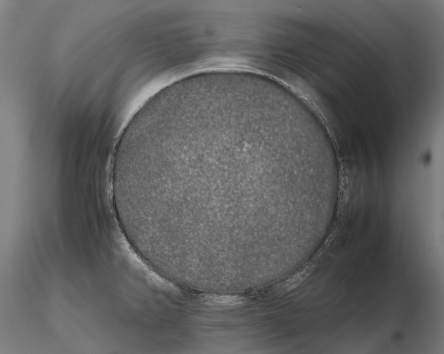 X0000115721382200912031541