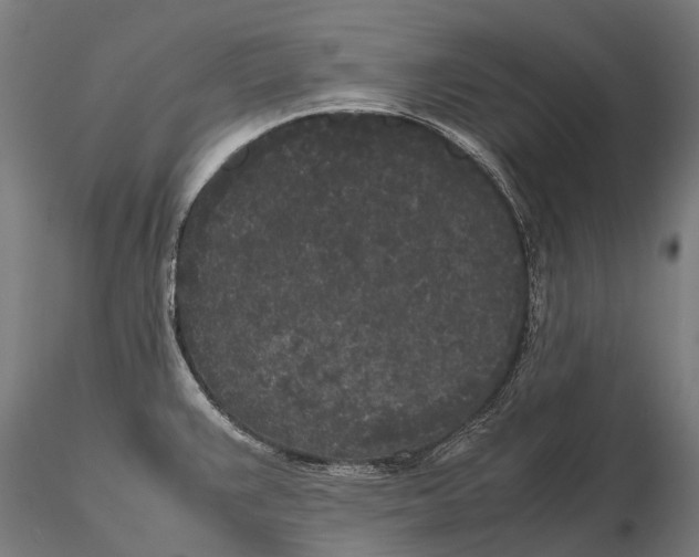 X0000115721383200912031541