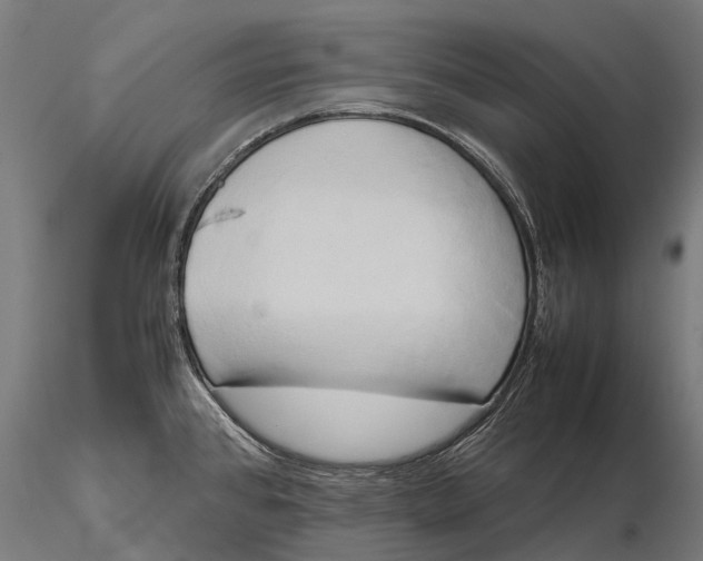 X0000115721384200912031541