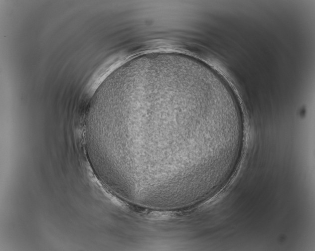 X0000115721385200912031541
