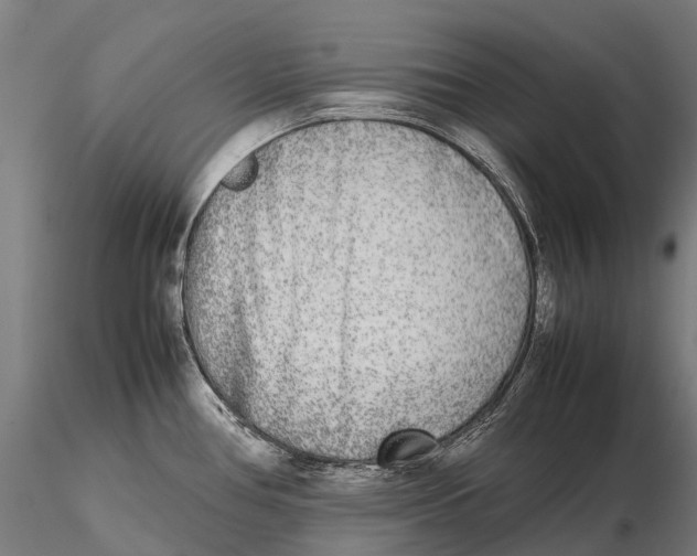X0000115721386200912031541