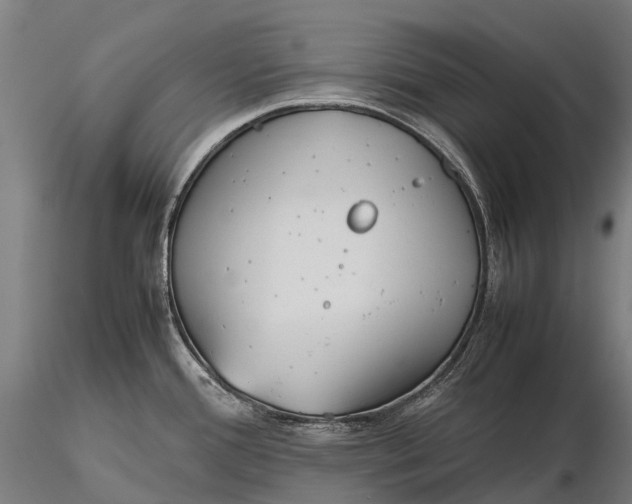 X0000115721388200912031541