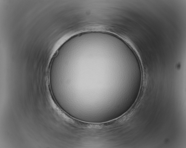 X0000115721389200912031541