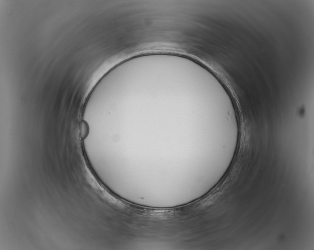X0000115721390200912031541