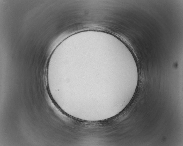 X0000115721391200912031541