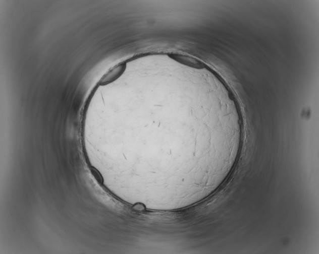 X0000115721392200912031541