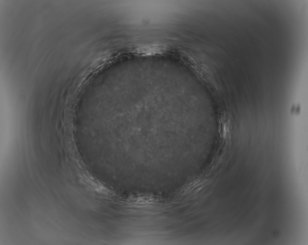 X0000115721393200912031540