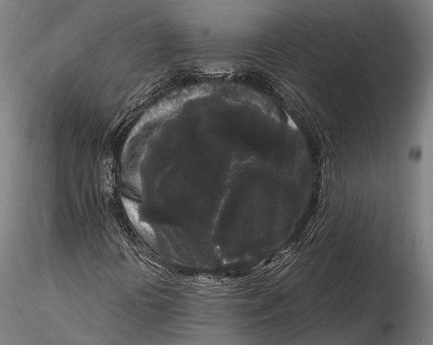 X0000115721394200912031540