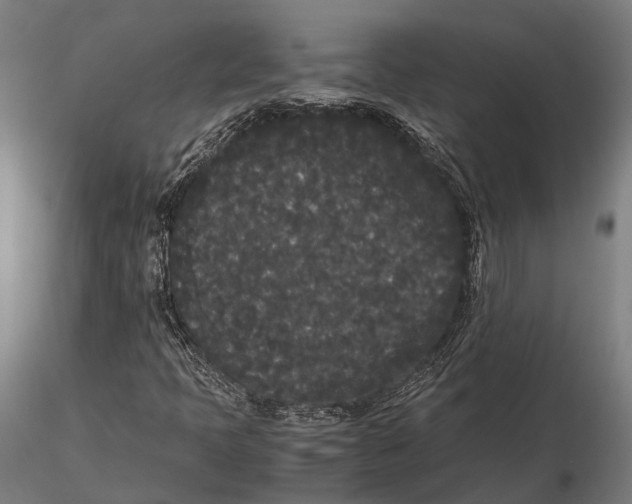 X0000115721397200912031540