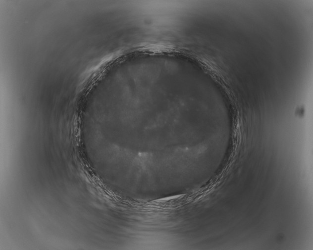 X0000115721398200912031540
