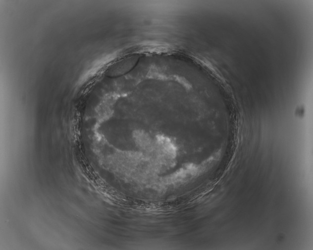 X0000115721399200912031540
