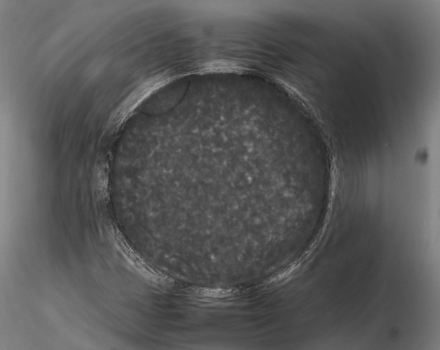 X0000115721401200912031540