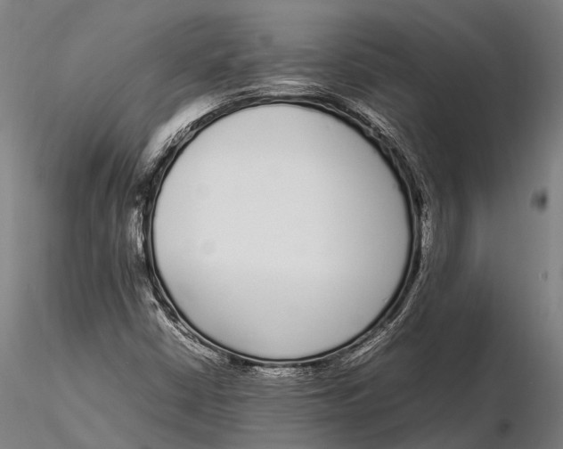 X0000115721402200912031540